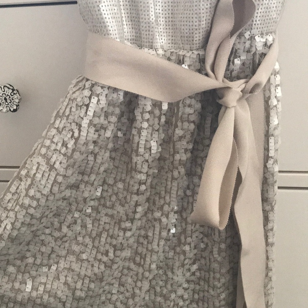 Beautiful Sequin Silver Dress From Express - Picture 5 of 7